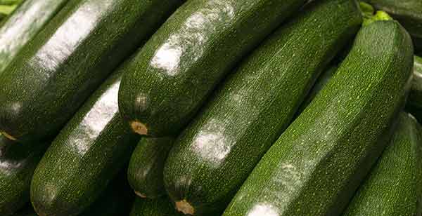 Conserver ses courgettes