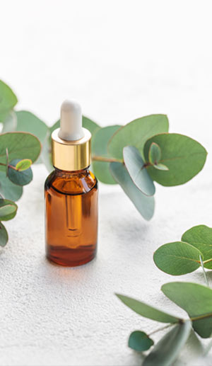 Huile Essentielle d'eucalyptus