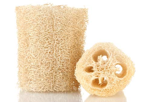 Eponge Loofah