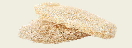 Eponge Loofah