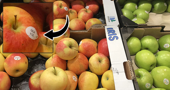 Nouveaux sur notre site internet