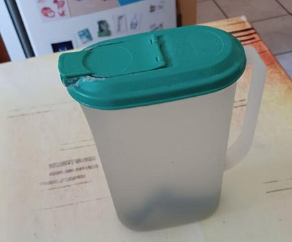 Charbon Actif Binchotan Kishu