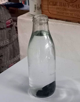 Binchotan Kishu - Charbon Actif