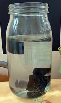 Binchotan Kishu - Charbon Actif