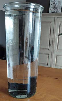 Charbon Actif Binchotan Kishu