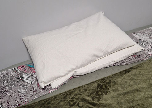 Oreiller Epeautre Ma Vie Eco