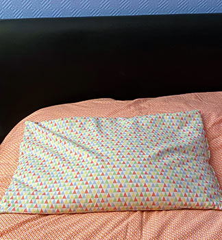 Oreiller Millet de Ma Vie éco