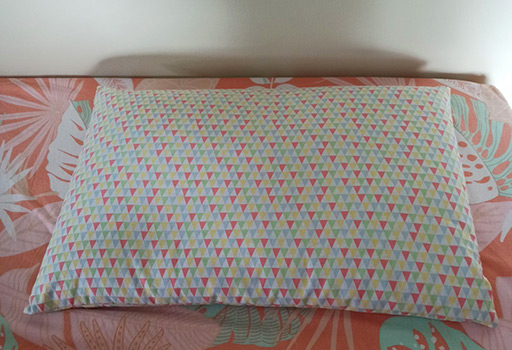 Oreiller Millet de Ma Vie éco