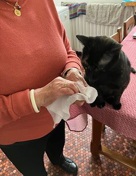 Lingette Oshibori Ma Vie éco, c'est magique !