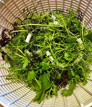 Perles Céramique EM