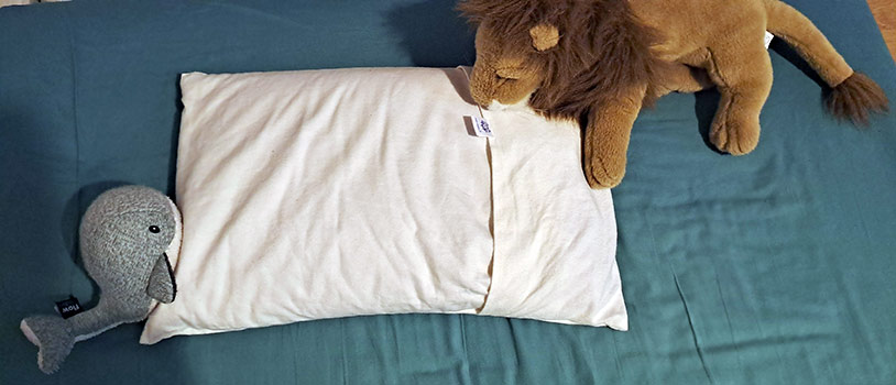 Le Protège Oreiller de MaVieEco.fr