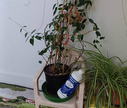 Savon Noir Ma Vie Eco