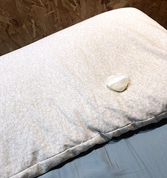 L'Oreiller épeautre de Ma VIe Eco