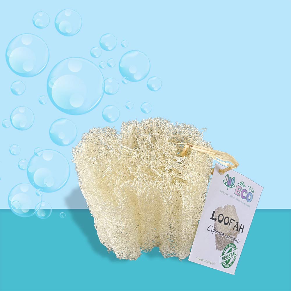 Eponge-Loofah_1