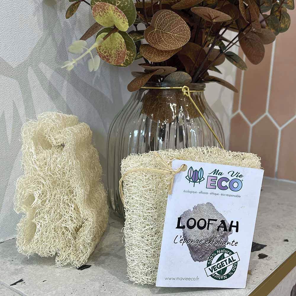 Eponge-Loofah_5