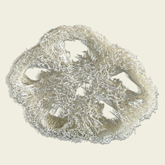 Tranche de Loofah