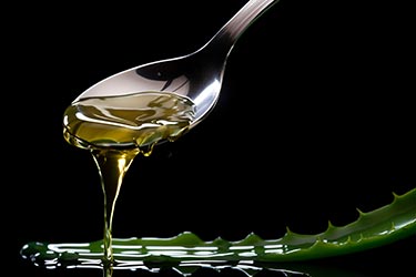 Le Sirop d'Agave