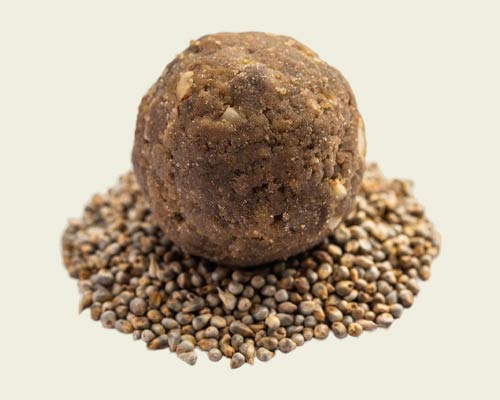 Bombes à Graines