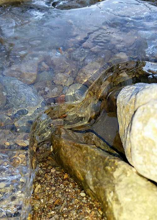 Eaux de surface ou souterraines