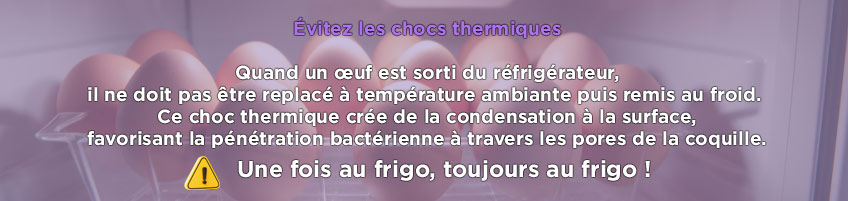 Les Oeufs au Frigo