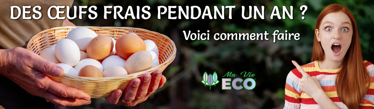 L' Enquête de Ma Vie Eco │ Comment garder vos œufs frais plusieurs mois