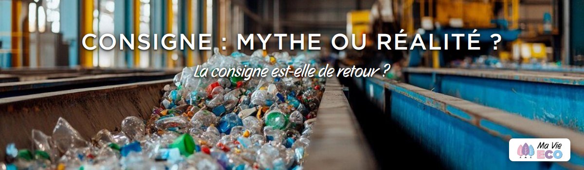 L'Enquête de Ma Vie Éco sur consigne : mythe ou réalité ?