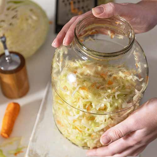 La fermentation