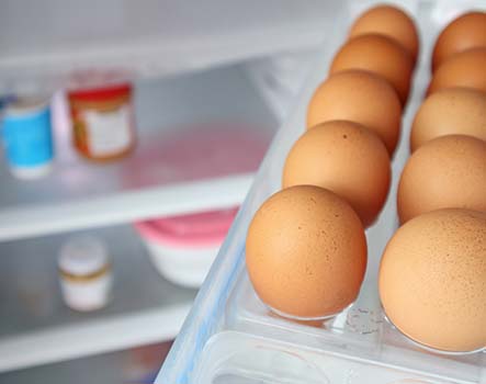 Réfrigérateur et Oeufs