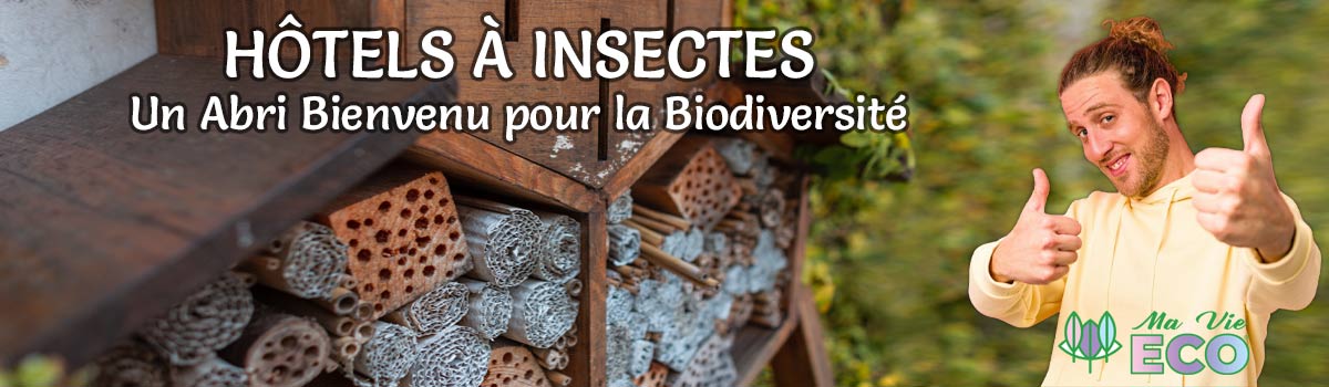 L' Enquête de Ma Vie Eco, sur LES HÔTELS À INSECTES