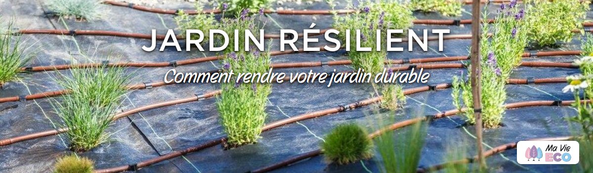 L'Enquête de Ma Vie Éco sur jardin résilient
