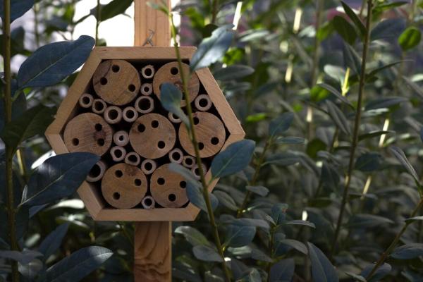 🐦 Construire des abris pour la faune