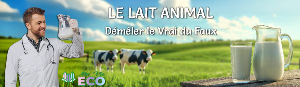 Les enquêtes