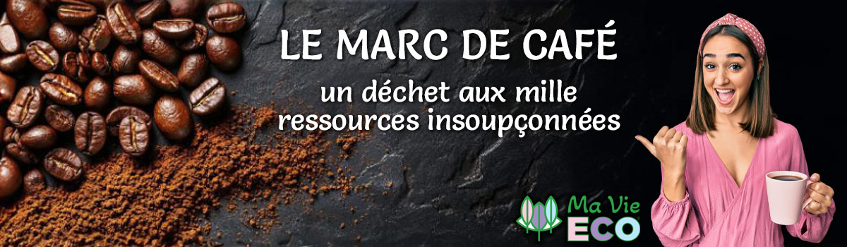 Les enquêtes