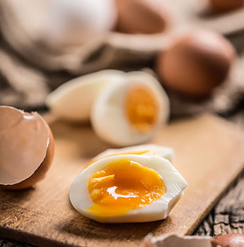Les Oeufs