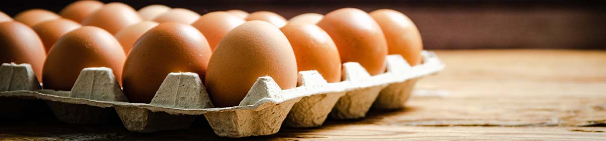Vive les Oeufs