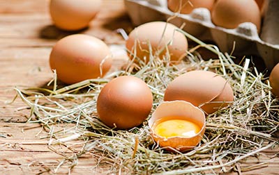 Les Oeufs