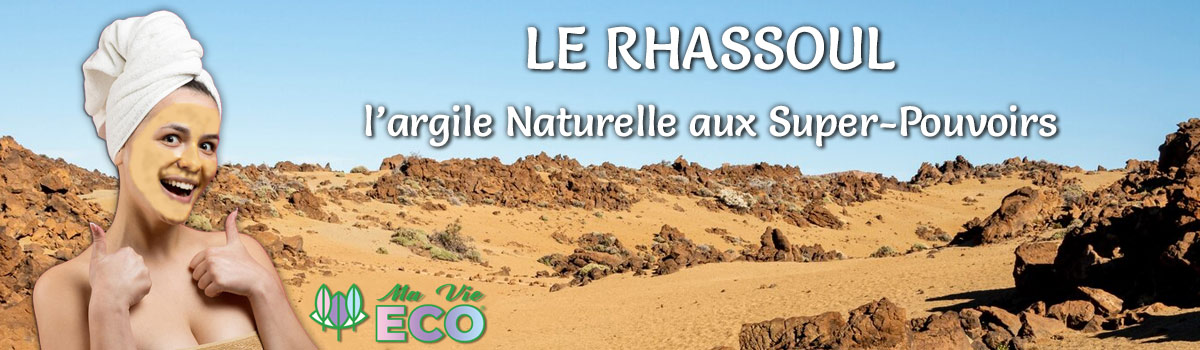 Les enquêtes